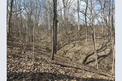 0 Wilson, Winchester, OH 45697 - Photo 14