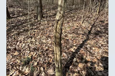 0 Wilson, Winchester, OH 45697 - Photo 32