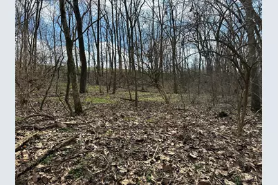 0 Wilson, Winchester, OH 45697 - Photo 50