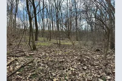 0 Wilson, Winchester, OH 45697 - Photo 22