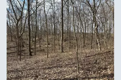 0 Wilson, Winchester, OH 45697 - Photo 68