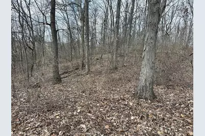 0 Wilson, Winchester, OH 45697 - Photo 60