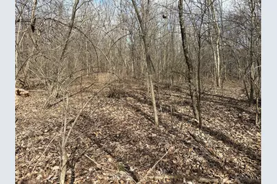 0 Wilson, Winchester, OH 45697 - Photo 40