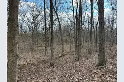 0 Wilson, Winchester, OH 45697 - Photo 44