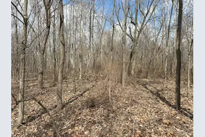 0 Wilson, Winchester, OH 45697 - Photo 10