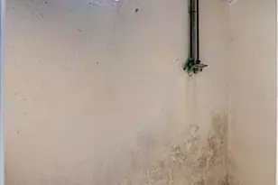 7873 Gail Dr, Deer Park, OH 45236 - Photo 28