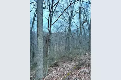 0 Straight Creek Road, Jackson Township, OH 45613 - Photo 50