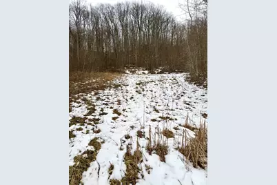 0 Straight Creek Road, Jackson Township, OH 45613 - Photo 28