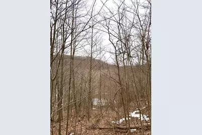 0 Straight Creek Road, Jackson Township, OH 45613 - Photo 34