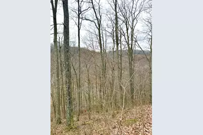 0 Straight Creek Road, Jackson Township, OH 45613 - Photo 36