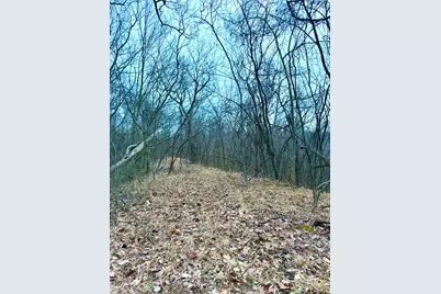 0 Straight Creek Road, Jackson Township, OH 45613 - Photo 16
