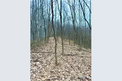 0 Straight Creek Road, Jackson Township, OH 45613 - Photo 10