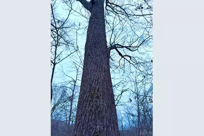 0 Straight Creek Road, Jackson Township, OH 45613 - Photo 58