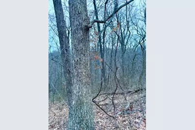 0 Straight Creek Road, Jackson Township, OH 45613 - Photo 52