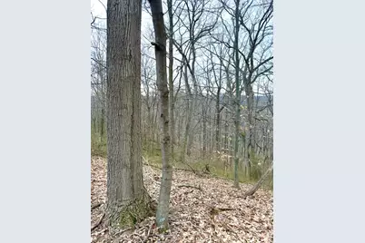 0 Straight Creek Road, Jackson Township, OH 45613 - Photo 4