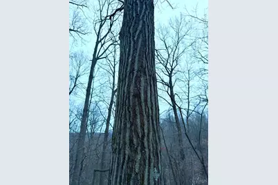 0 Straight Creek Road, Jackson Township, OH 45613 - Photo 54