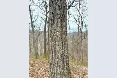 0 Straight Creek Road, Jackson Township, OH 45613 - Photo 6