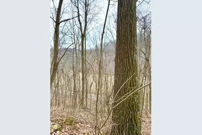 0 Straight Creek Road, Jackson Township, OH 45613 - Photo 32