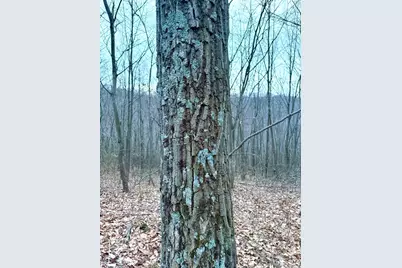 0 Straight Creek Road, Jackson Township, OH 45613 - Photo 62