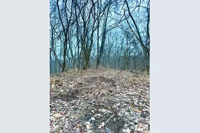 0 Straight Creek Road, Jackson Township, OH 45613 - Photo 46