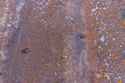 500 Ernie Road, Lynx, OH 45650 - Photo 12