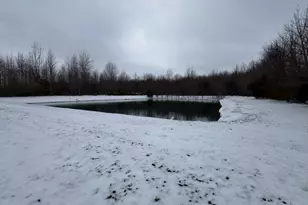 11246 St Rt 730, Marion Township, OH 45107 - Photo 48