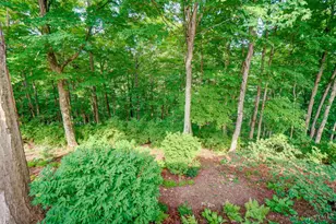 149 Overlook Dr, Loveland, OH 45140 - Photo 70