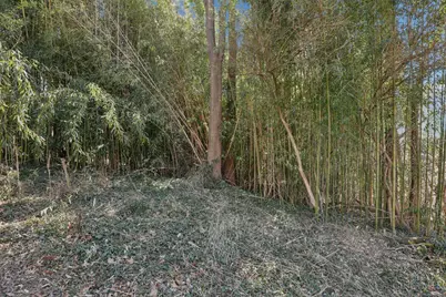 3817 Davenant Avenue, Cincinnati, OH 45213 - Photo 46