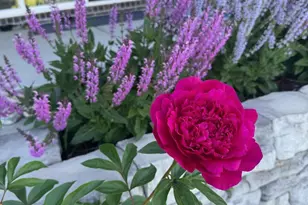 1160 Golf Club Dr, Turtle Creek Township, OH 45036 - Photo 50