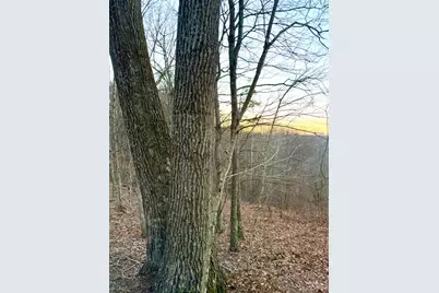 0 St Rt 139, Madison Township, OH 45653 - Photo 80