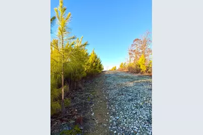 0 St Rt 139, Madison Township, OH 45653 - Photo 90