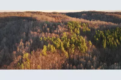 0 St Rt 139, Madison Township, OH 45653 - Photo 40