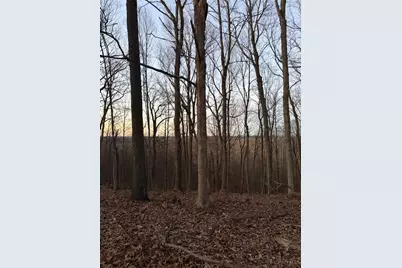 0 St Rt 139, Madison Township, OH 45653 - Photo 72