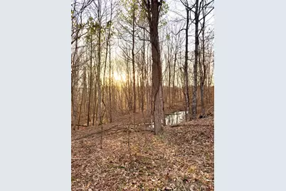 0 Sr 139, Madison Township, OH 45653 - Photo 38