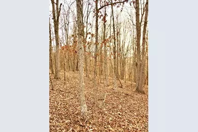 0 St Rt 139, Madison Township, OH 45653 - Photo 54