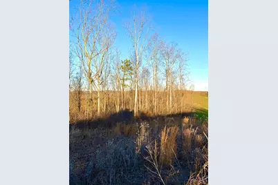 0 St Rt 139, Madison Township, OH 45653 - Photo 92