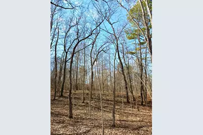 0 St Rt 139, Madison Township, OH 45653 - Photo 68