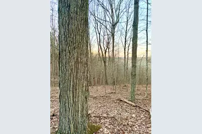 0 St Rt 139, Madison Township, OH 45653 - Photo 78