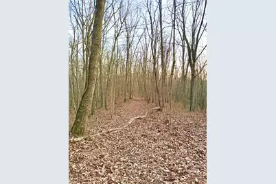 0 St Rt 139, Madison Township, OH 45653 - Photo 74