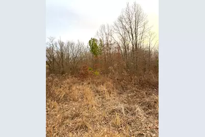 0 St Rt 139, Madison Township, OH 45653 - Photo 60