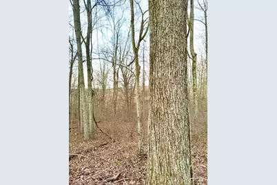 0 St Rt 139, Madison Township, OH 45653 - Photo 24