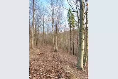 0 St Rt 139, Madison Township, OH 45653 - Photo 64