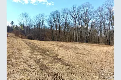 0 St Rt 139, Madison Township, OH 45653 - Photo 2