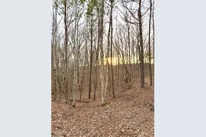 0 Sr 139, Madison Township, OH 45653 - Photo 36