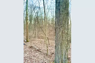 0 St Rt 139, Madison Township, OH 45653 - Photo 26