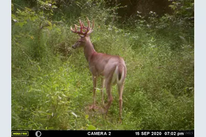 398 St Rt 133, Franklin Township, OH 45120 - Photo 44