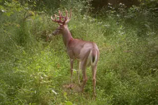 398 St Rt 133, Franklin Township, OH 45120 - Photo 44