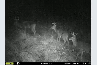 398 St Rt 133, Franklin Township, OH 45120 - Photo 42