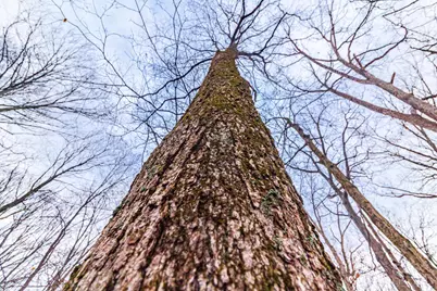 265 Greenbrier Rd, Seaman, OH 45679 - Photo 26