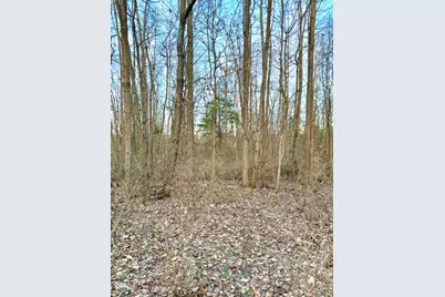 0 Martin Alexander, Jackson Township, OH 45171 - Photo 32